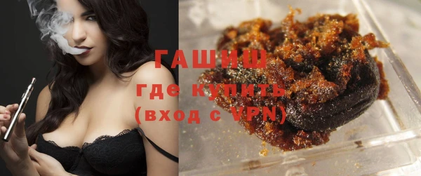 индика Новокубанск