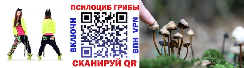 кракен маркетплейс  Зубцов  Галлюциногенные грибы ЛСД  закладки 